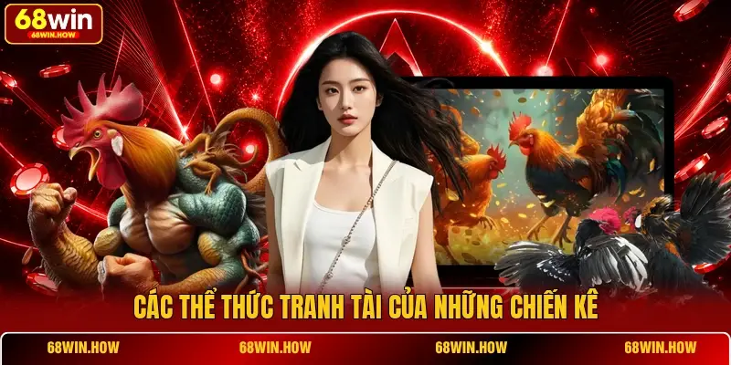 AOG Đá Gà - Trường Đấu Online Đẳng Cấp Châu Á, Đa Dạng Kèo - BETLATTICE89.SURF