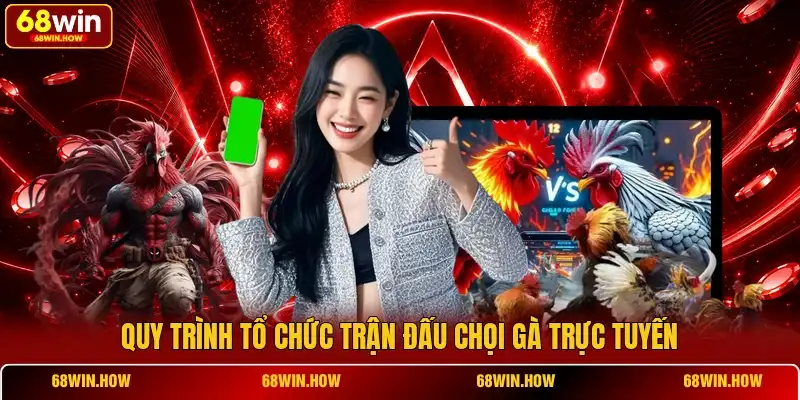 AOG Đá Gà - Trường Đấu Online Đẳng Cấp Châu Á, Đa Dạng Kèo - BETLATTICE89.SURF